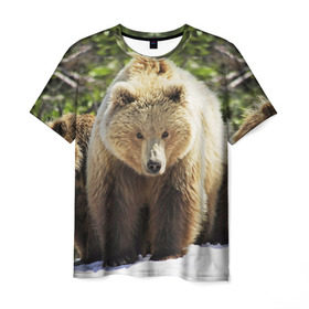 Мужская футболка 3D с принтом Медведи в Тюмени, 100% полиэфир | прямой крой, круглый вырез горловины, длина до линии бедер | Тематика изображения на принте: звери | медведь | мишка | природа