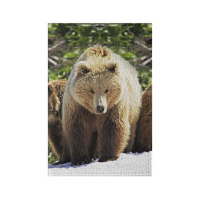 Обложка для паспорта матовая кожа с принтом Медведи в Тюмени, натуральная матовая кожа | размер 19,3 х 13,7 см; прозрачные пластиковые крепления | Тематика изображения на принте: звери | медведь | мишка | природа