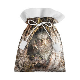 Подарочный 3D мешок с принтом Совы в Тюмени, 100% полиэстер | Размер: 29*39 см | звери | природа | птицы | сова | сыч