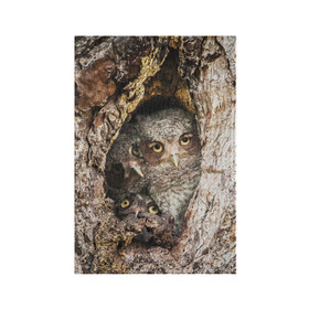 Обложка для паспорта матовая кожа с принтом Совы в Тюмени, натуральная матовая кожа | размер 19,3 х 13,7 см; прозрачные пластиковые крепления | звери | природа | птицы | сова | сыч