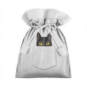 Подарочный 3D мешок с принтом Кот в кармане в Тюмени, 100% полиэстер | Размер: 29*39 см | 