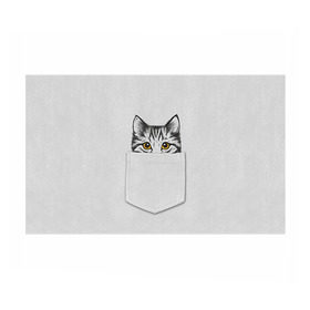 Бумага для упаковки 3D с принтом Кот в кармане 2 в Тюмени, пластик и полированная сталь | круглая форма, металлическое крепление в виде кольца | Тематика изображения на принте: animals | cat | kitty | животные | кот | котик