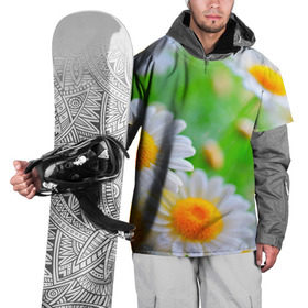 Накидка на куртку 3D с принтом Ромашки в Тюмени, 100% полиэстер |  | Тематика изображения на принте: фото | цветы