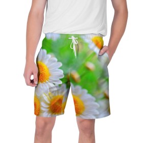 Мужские шорты 3D с принтом Ромашки в Тюмени,  полиэстер 100% | прямой крой, два кармана без застежек по бокам. Мягкая трикотажная резинка на поясе, внутри которой широкие завязки. Длина чуть выше колен | фото | цветы