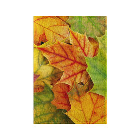 Обложка для паспорта матовая кожа с принтом Краски осени в Тюмени, натуральная матовая кожа | размер 19,3 х 13,7 см; прозрачные пластиковые крепления | листва | листья | осень
