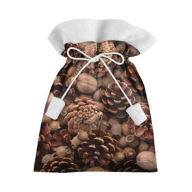 Подарочный 3D мешок с принтом Шишки и орешки в Тюмени, 100% полиэстер | Размер: 29*39 см | Тематика изображения на принте: дуб | ёлка | ель | жёлудь | иголки | кедр | лес | орех | орешки | осень | сосна | шишки