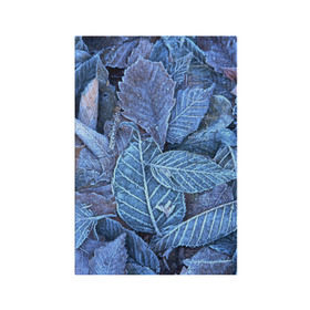 Обложка для паспорта матовая кожа с принтом Застывшие листья в Тюмени, натуральная матовая кожа | размер 19,3 х 13,7 см; прозрачные пластиковые крепления | иней | мороз | осень | холод