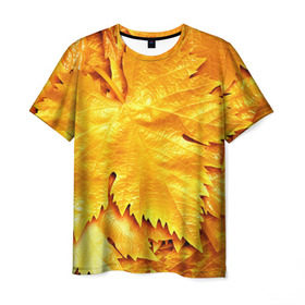 Мужская футболка 3D с принтом Золотая осень в Тюмени, 100% полиэфир | прямой крой, круглый вырез горловины, длина до линии бедер | Тематика изображения на принте: жёлтый | золотой | клён | красота | листва | листья | наряд | осень | осина | покров | природа