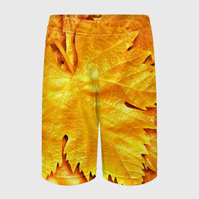 Детские спортивные шорты 3D с принтом Золотая осень в Тюмени,  100% полиэстер
 | пояс оформлен широкой мягкой резинкой, ткань тянется
 | Тематика изображения на принте: жёлтый | золотой | клён | красота | листва | листья | наряд | осень | осина | покров | природа