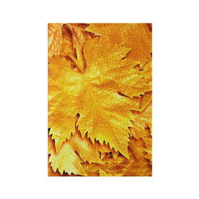 Обложка для паспорта матовая кожа с принтом Золотая осень в Тюмени, натуральная матовая кожа | размер 19,3 х 13,7 см; прозрачные пластиковые крепления | жёлтый | золотой | клён | красота | листва | листья | наряд | осень | осина | покров | природа