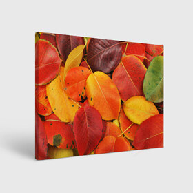 Холст прямоугольный с принтом Осенний покров в Тюмени, 100% ПВХ |  | жёлтый | золотой | красный | листва | листья | осень