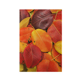 Обложка для паспорта матовая кожа с принтом Осенний покров в Тюмени, натуральная матовая кожа | размер 19,3 х 13,7 см; прозрачные пластиковые крепления | жёлтый | золотой | красный | листва | листья | осень