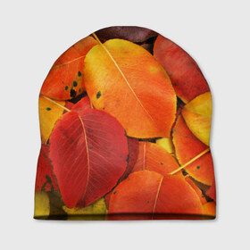 Шапка 3D с принтом Осенний покров в Тюмени, 100% полиэстер | универсальный размер, печать по всей поверхности изделия | Тематика изображения на принте: жёлтый | золотой | красный | листва | листья | осень