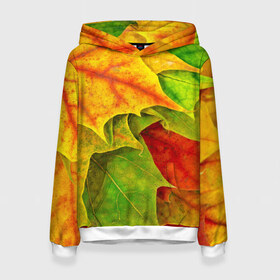 Женская толстовка 3D с принтом Осенний наряд в Тюмени, 100% полиэстер  | двухслойный капюшон со шнурком для регулировки, мягкие манжеты на рукавах и по низу толстовки, спереди карман-кенгуру с мягким внутренним слоем. | жёлтый | зелёный | красный | листва | листья | оранжевый