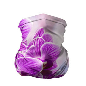 Бандана-труба 3D с принтом Божественная орхидея в Тюмени, 100% полиэстер, ткань с особыми свойствами — Activecool | плотность 150‒180 г/м2; хорошо тянется, но сохраняет форму | 8 марта | букет | весна | красота | куст | лето | орхидея | подарок | сиреневый цвет | цветок | шикарный цветочек