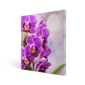 Холст квадратный с принтом Божественная орхидея в Тюмени, 100% ПВХ |  | 8 марта | букет | весна | красота | куст | лето | орхидея | подарок | сиреневый цвет | цветок | шикарный цветочек