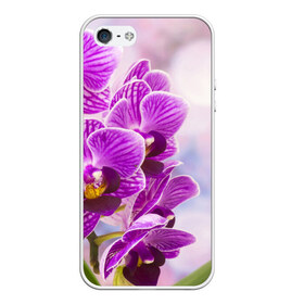 Чехол для iPhone 5/5S матовый с принтом Божественная орхидея в Тюмени, Силикон | Область печати: задняя сторона чехла, без боковых панелей | 8 марта | букет | весна | красота | куст | лето | орхидея | подарок | сиреневый цвет | цветок | шикарный цветочек