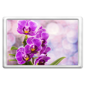 Магнит 45*70 с принтом Божественная орхидея в Тюмени, Пластик | Размер: 78*52 мм; Размер печати: 70*45 | 8 марта | букет | весна | красота | куст | лето | орхидея | подарок | сиреневый цвет | цветок | шикарный цветочек