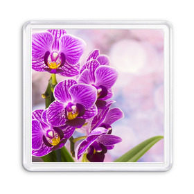 Магнит 55*55 с принтом Божественная орхидея в Тюмени, Пластик | Размер: 65*65 мм; Размер печати: 55*55 мм | Тематика изображения на принте: 8 марта | букет | весна | красота | куст | лето | орхидея | подарок | сиреневый цвет | цветок | шикарный цветочек