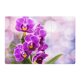 Магнитный плакат 3Х2 с принтом Божественная орхидея в Тюмени, Полимерный материал с магнитным слоем | 6 деталей размером 9*9 см | Тематика изображения на принте: 8 марта | букет | весна | красота | куст | лето | орхидея | подарок | сиреневый цвет | цветок | шикарный цветочек