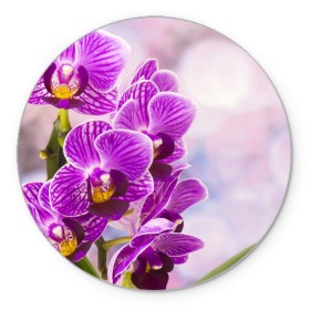 Коврик круглый с принтом Божественная орхидея в Тюмени, резина и полиэстер | круглая форма, изображение наносится на всю лицевую часть | 8 марта | букет | весна | красота | куст | лето | орхидея | подарок | сиреневый цвет | цветок | шикарный цветочек