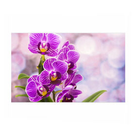 Бумага для упаковки 3D с принтом Божественная орхидея в Тюмени, пластик и полированная сталь | круглая форма, металлическое крепление в виде кольца | Тематика изображения на принте: 8 марта | букет | весна | красота | куст | лето | орхидея | подарок | сиреневый цвет | цветок | шикарный цветочек