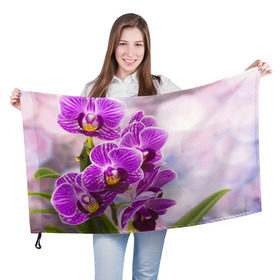 Флаг 3D с принтом Божественная орхидея в Тюмени, 100% полиэстер | плотность ткани — 95 г/м2, размер — 67 х 109 см. Принт наносится с одной стороны | 8 марта | букет | весна | красота | куст | лето | орхидея | подарок | сиреневый цвет | цветок | шикарный цветочек
