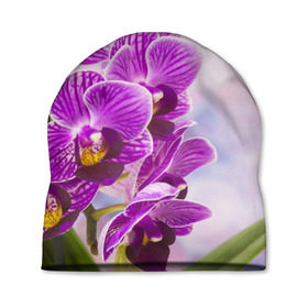 Шапка 3D с принтом Божественная орхидея в Тюмени, 100% полиэстер | универсальный размер, печать по всей поверхности изделия | 8 марта | букет | весна | красота | куст | лето | орхидея | подарок | сиреневый цвет | цветок | шикарный цветочек