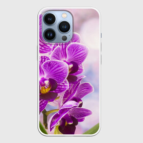 Чехол для iPhone 13 Pro с принтом Божественная орхидея в Тюмени,  |  | 8 марта | букет | весна | красота | куст | лето | орхидея | подарок | сиреневый цвет | цветок | шикарный цветочек