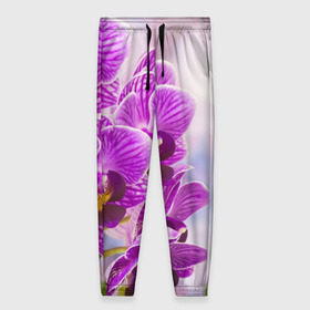 Женские брюки 3D с принтом Божественная орхидея в Тюмени, полиэстер 100% | прямой крой, два кармана без застежек по бокам, с мягкой трикотажной резинкой на поясе и по низу штанин. В поясе для дополнительного комфорта — широкие завязки | 8 марта | букет | весна | красота | куст | лето | орхидея | подарок | сиреневый цвет | цветок | шикарный цветочек