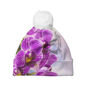 Шапка 3D c помпоном с принтом Божественная орхидея в Тюмени, 100% полиэстер | универсальный размер, печать по всей поверхности изделия | 8 марта | букет | весна | красота | куст | лето | орхидея | подарок | сиреневый цвет | цветок | шикарный цветочек