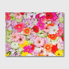 Альбом для рисования с принтом Обилие цветов в Тюмени, 100% бумага
 | матовая бумага, плотность 200 мг. | Тематика изображения на принте: 8 марта | букет | георгина | изобилие | красота | куст | лето | обилие | петунья | подснежник | полевые | разные цветы | роза | ромашка | тюльпан | хризантема | цветочек | цветы