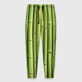 Мужские брюки 3D с принтом Бамбук в Тюмени, 100% полиэстер | манжеты по низу, эластичный пояс регулируется шнурком, по бокам два кармана без застежек, внутренняя часть кармана из мелкой сетки | бамбук | дерево | джунгли | кустарник | надёжность | прочность | стена