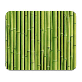 Коврик прямоугольный с принтом Бамбук в Тюмени, натуральный каучук | размер 230 х 185 мм; запечатка лицевой стороны | бамбук | дерево | джунгли | кустарник | надёжность | прочность | стена