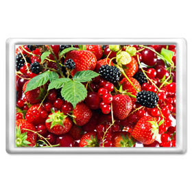 Магнит 45*70 с принтом Любимые ягоды в Тюмени, Пластик | Размер: 78*52 мм; Размер печати: 70*45 | вкусно | голубика | дача | деревня | ежевика | зелень | клубника | малина | огород | полезно | сад | смородина | сок | фрукты | черника | шиповник | ягоды