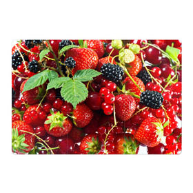 Магнитный плакат 3Х2 с принтом Любимые ягоды в Тюмени, Полимерный материал с магнитным слоем | 6 деталей размером 9*9 см | Тематика изображения на принте: вкусно | голубика | дача | деревня | ежевика | зелень | клубника | малина | огород | полезно | сад | смородина | сок | фрукты | черника | шиповник | ягоды
