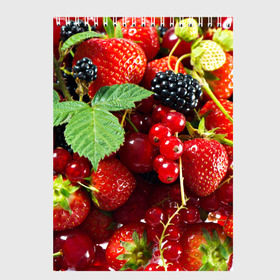 Скетчбук с принтом Любимые ягоды в Тюмени, 100% бумага
 | 48 листов, плотность листов — 100 г/м2, плотность картонной обложки — 250 г/м2. Листы скреплены сверху удобной пружинной спиралью | Тематика изображения на принте: вкусно | голубика | дача | деревня | ежевика | зелень | клубника | малина | огород | полезно | сад | смородина | сок | фрукты | черника | шиповник | ягоды