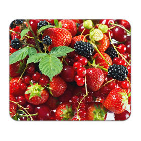 Коврик прямоугольный с принтом Любимые ягоды в Тюмени, натуральный каучук | размер 230 х 185 мм; запечатка лицевой стороны | вкусно | голубика | дача | деревня | ежевика | зелень | клубника | малина | огород | полезно | сад | смородина | сок | фрукты | черника | шиповник | ягоды