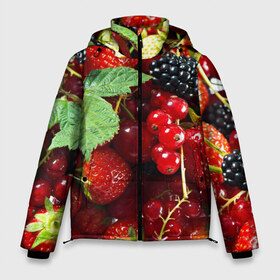 Мужская зимняя куртка 3D с принтом Любимые ягоды в Тюмени, верх — 100% полиэстер; подкладка — 100% полиэстер; утеплитель — 100% полиэстер | длина ниже бедра, свободный силуэт Оверсайз. Есть воротник-стойка, отстегивающийся капюшон и ветрозащитная планка. 

Боковые карманы с листочкой на кнопках и внутренний карман на молнии. | вкусно | голубика | дача | деревня | ежевика | зелень | клубника | малина | огород | полезно | сад | смородина | сок | фрукты | черника | шиповник | ягоды