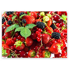 Поздравительная открытка с принтом Любимые ягоды в Тюмени, 100% бумага | плотность бумаги 280 г/м2, матовая, на обратной стороне линовка и место для марки
 | вкусно | голубика | дача | деревня | ежевика | зелень | клубника | малина | огород | полезно | сад | смородина | сок | фрукты | черника | шиповник | ягоды