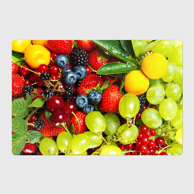 Магнитный плакат 3Х2 с принтом Вкусные ягоды в Тюмени, Полимерный материал с магнитным слоем | 6 деталей размером 9*9 см | Тематика изображения на принте: виноград | вкусно | голубика | дача | деревня | ежевика | клубника | малина | огород | полезно | рябина | сад | смородина | сок | фрукты | черника | ягоды