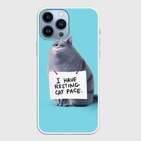 Чехол для iPhone 13 Pro Max с принтом Домашняя киса в Тюмени,  |  | animal | cat | pets | the secret life of pets | домашние животные | животные | кот | котенок | котик | тайная жизнь домашних животных