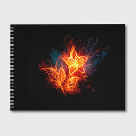 Альбом для рисования с принтом Огненный цветок в Тюмени, 100% бумага
 | матовая бумага, плотность 200 мг. | звезда | искры | огненный цветок | огонь | пламя | пожар