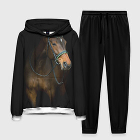 Мужской костюм 3D (с толстовкой) с принтом Породистый жеребец в Тюмени,  |  | Тематика изображения на принте: жеребец | животные | конь | лошадка | лошадь | погоня | седло | скакун | скачки | узда