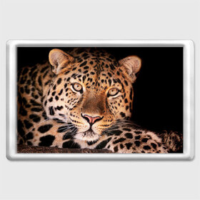Магнит 45*70 с принтом Леопард в Тюмени, Пластик | Размер: 78*52 мм; Размер печати: 70*45 | гепард | грация | дикая кошка | добыча | животные | леопард | ловкость | опасность | пятна | хищник | ягуар