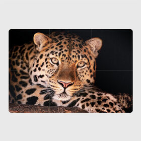 Магнитный плакат 3Х2 с принтом Леопард в Тюмени, Полимерный материал с магнитным слоем | 6 деталей размером 9*9 см | гепард | грация | дикая кошка | добыча | животные | леопард | ловкость | опасность | пятна | хищник | ягуар