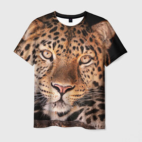 Мужская футболка 3D с принтом Леопард в Тюмени, 100% полиэфир | прямой крой, круглый вырез горловины, длина до линии бедер | гепард | грация | дикая кошка | добыча | животные | леопард | ловкость | опасность | пятна | хищник | ягуар