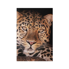 Обложка для паспорта матовая кожа с принтом Леопард в Тюмени, натуральная матовая кожа | размер 19,3 х 13,7 см; прозрачные пластиковые крепления | гепард | грация | дикая кошка | добыча | животные | леопард | ловкость | опасность | пятна | хищник | ягуар