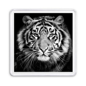 Магнит 55*55 с принтом Красавец тигр в Тюмени, Пластик | Размер: 65*65 мм; Размер печати: 55*55 мм | джунгли | дикая кошка | животные | зверь | король | кровь | мясо | опасность | охотник | тигр | хищник | царь | цирк