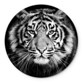 Коврик круглый с принтом Красавец тигр в Тюмени, резина и полиэстер | круглая форма, изображение наносится на всю лицевую часть | джунгли | дикая кошка | животные | зверь | король | кровь | мясо | опасность | охотник | тигр | хищник | царь | цирк